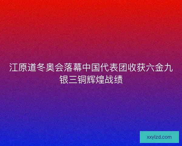 江原道冬奥会落幕中国代表团收获六金九银三铜辉煌战绩